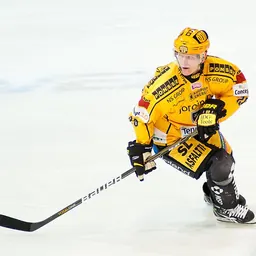 Portrait of Jukka Hentunen