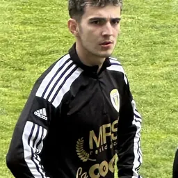 Portrait of Mario Bratu