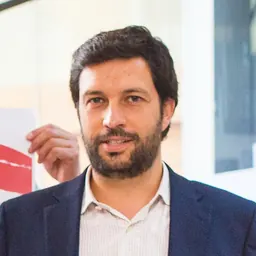 Portrait of João Ferreira