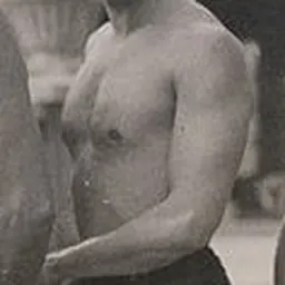 Portrait of György Bródy