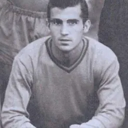 Portrait of Dumitru Dumitriu