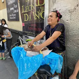 Portrait of Lady Tacos de Canasta