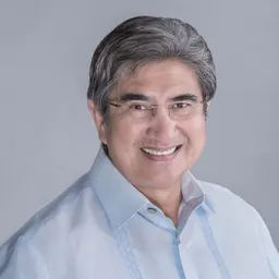 Portrait of Gregorio Honasan