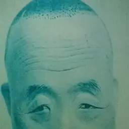 Portrait of Lin Hongnian