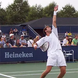 Portrait of Justin Gimelstob