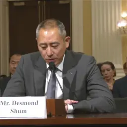 Portrait of Desmond Shum