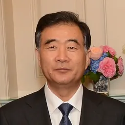 Portrait of Wang Yang