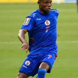 Portrait of Wilde-Donald Guerrier