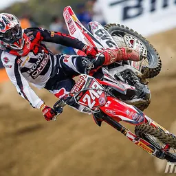 Portrait of Tim Gajser