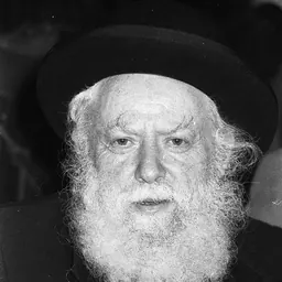 Portrait of Avraham Shapira