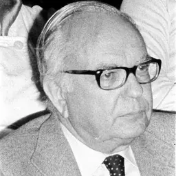 Portrait of António Rodrigo Pinto da Silva