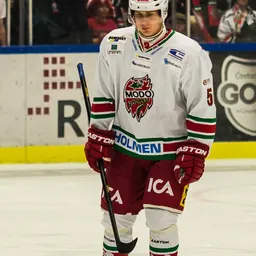 Portrait of Viktor Lööv