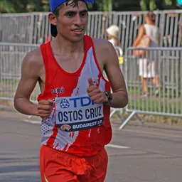 Portrait of Luis Ostos