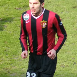 Portrait of Nenad Stojaković