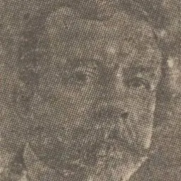 Portrait of Dimitrie Dobrescu