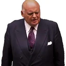 Portrait of Peter Tapsell