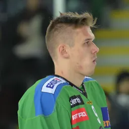 Portrait of Nik Pem