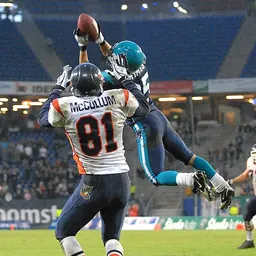 Portrait of Brent Grimes
