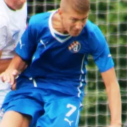 Portrait of Karlo Miljanić