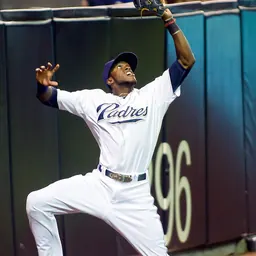 Portrait of Cameron Maybin