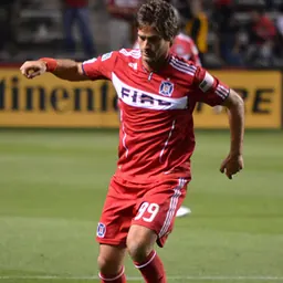Portrait of Diego Cháves
