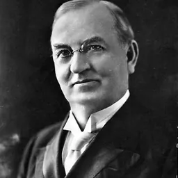 Portrait of Johannes Alfred Hultman