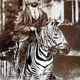 Portrait of Rosendo Ribeiro