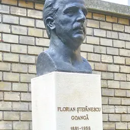 Portrait of Florian Ștefănescu-Goangă