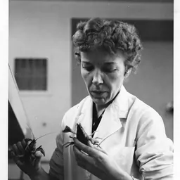 Portrait of Mary Alice McWhinnie
