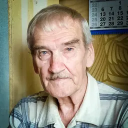 Portrait of Stanislav Petrov
