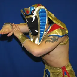 Portrait of Ophidian
