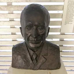 Portrait of Henrique da Rocha Lima