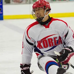 Portrait of Han Min-su