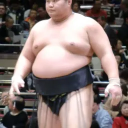 Portrait of Wakakōyū Masaya