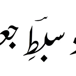 Portrait of Ustad Sibte Jaffar Zaidi