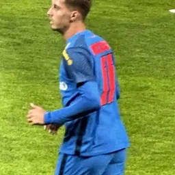 Portrait of David Miculescu