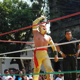 Portrait of Último Dragóncito