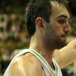 Portrait of Mirza Begić