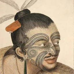 Portrait of Te Rauangaanga