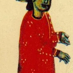 Portrait of Raimbaut II, Count of Orange