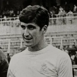Portrait of Marañón