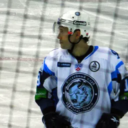 Portrait of Dmitry Meleshko