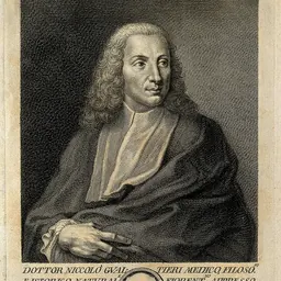 Portrait of Niccolò Gualtieri