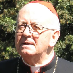 Portrait of Attilio Nicora