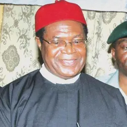 Portrait of Okwesilieze Nwodo