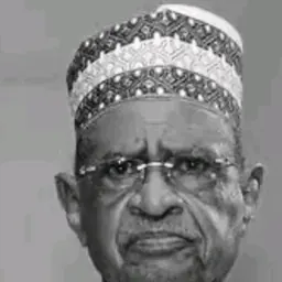 Portrait of Iya Abubakar