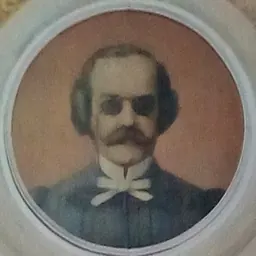 Portrait of Pedro Francisco da Costa Alvarenga