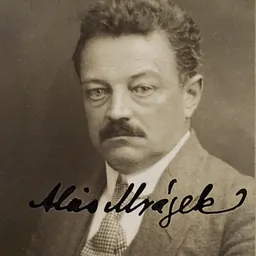 Portrait of Alois Mrázek