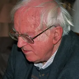 Portrait of Robert Wade