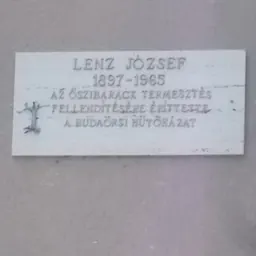 Portrait of József Lenz